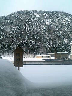060109_1129~0001.JPG