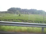 P1000109.jpg