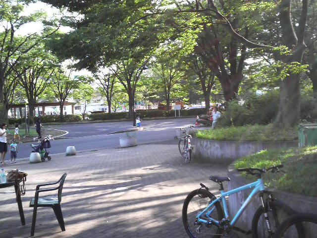 P1000177.jpg