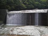 P1000201.jpg