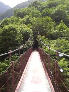 P1000206.jpg