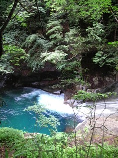 P1000227.jpg