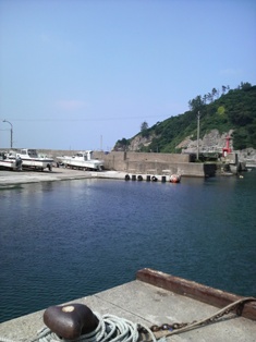 P1000320.jpg